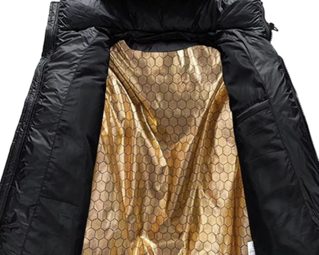 6bd62db2-05c0-4d05-9d17-d329b0e12500-Max-Origin