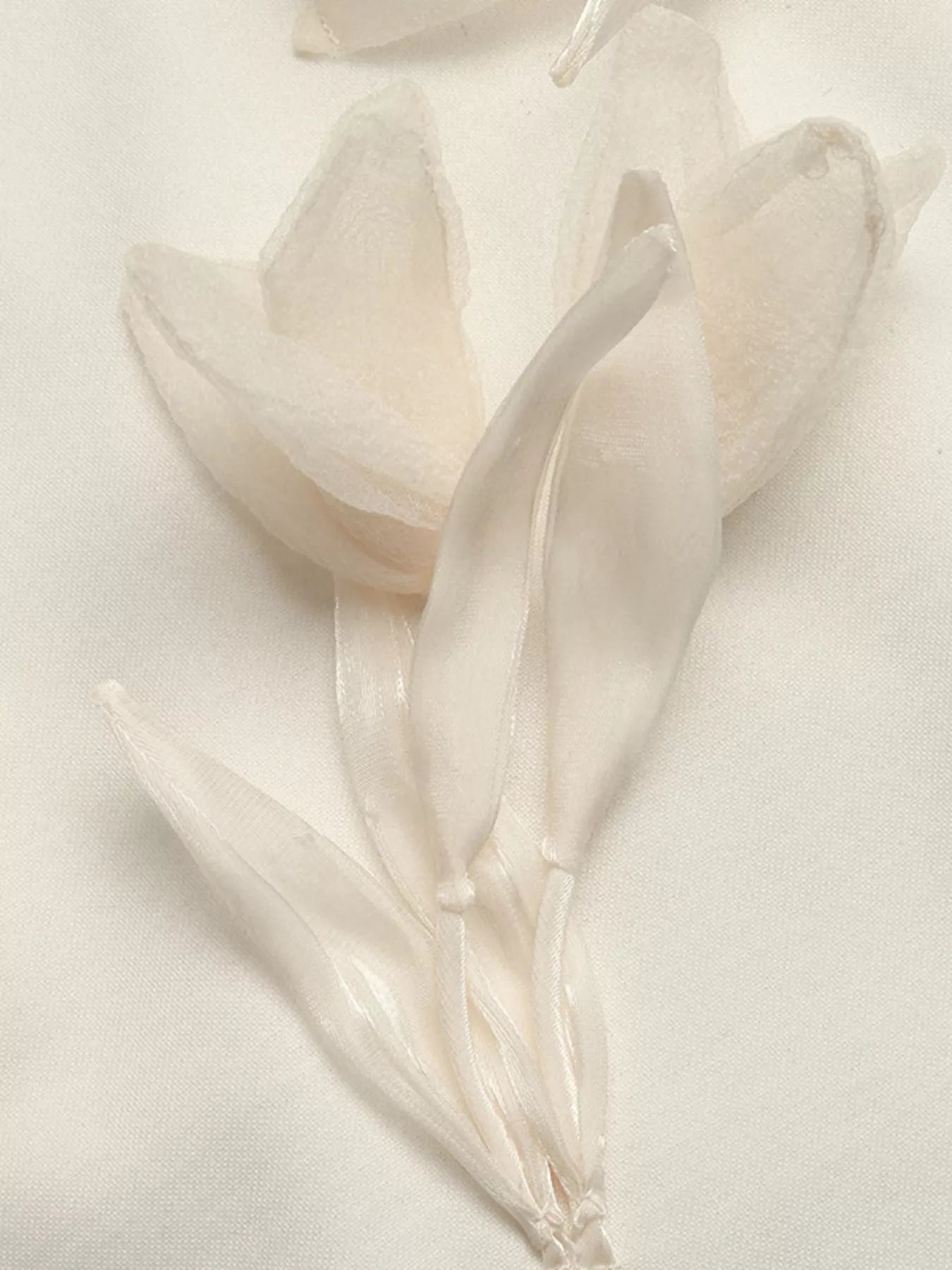 NEWYORKLISTED STYLE COLLECTION: Close-up of a white tulip on a light background