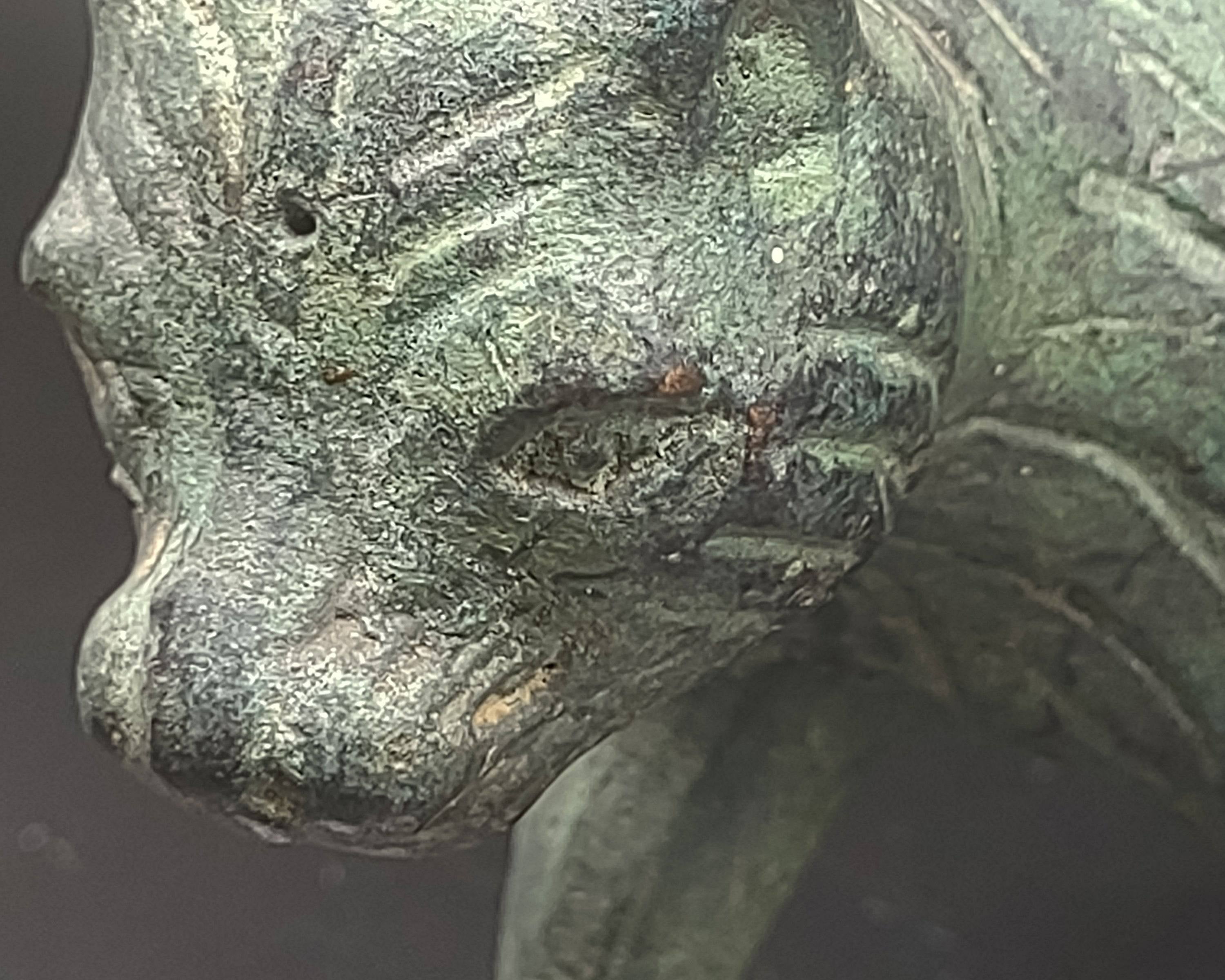 NEWYORKLISTED UNIQUE FINDS 19th Century Bronze Thai Buddha Riding a Tiger with Falcon - NEWYORKLISTED