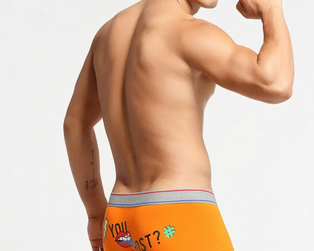 b0fee2bd-e07a-4b5a-807a-b3c2a09621dd-Max