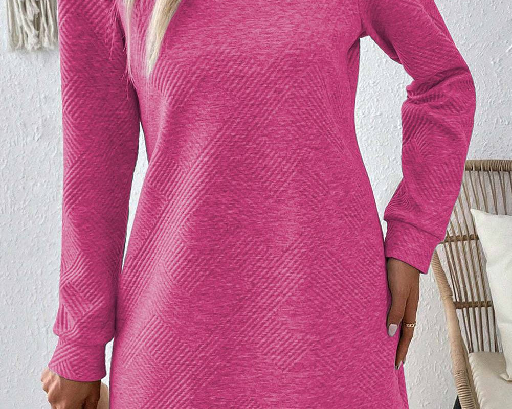 Textured Round Neck Long Sleeve Mini Dress - NEWYORKLISTED