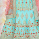 Raw Silk Lehenga Choli - Blue - NEWYORKLISTED