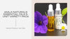AMLA NATURALS Essential Oils 5-Unit Variety Pack by@Outfy