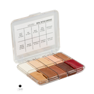 tattoo-coverage-palette-original